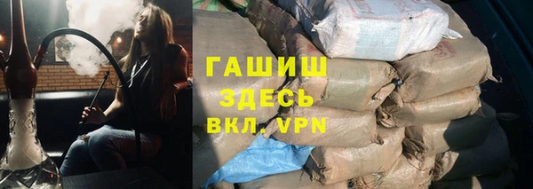 сатива Волоколамск