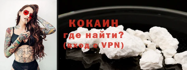 сатива Волоколамск