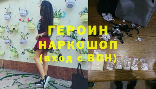 сатива Волоколамск