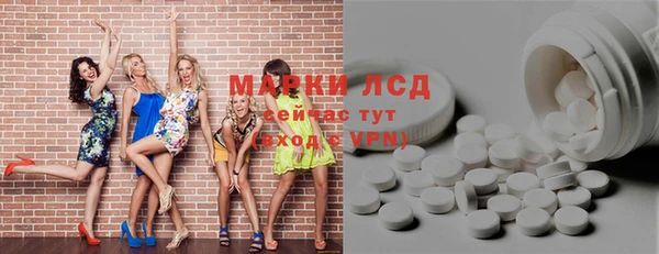 сатива Волоколамск